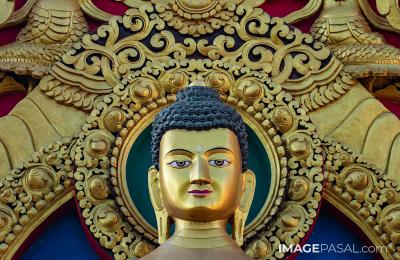 Buddha Jayanti, A festival of Peace and Solicitude