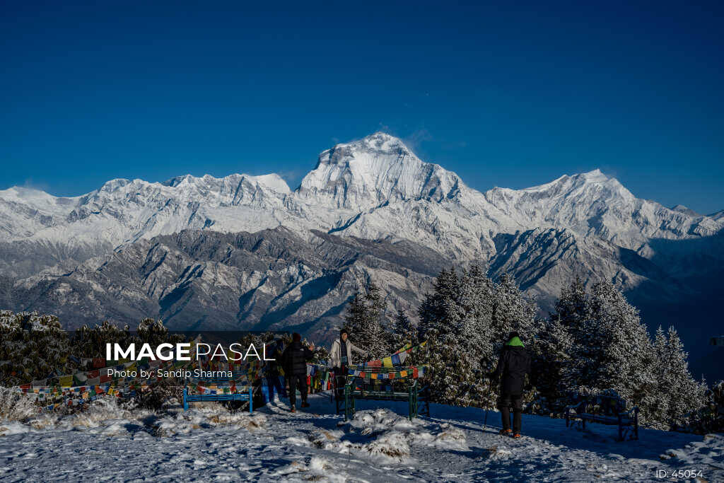 Snow-covered Dhaulagiri range seen from Poon Hill in winter, with prayer flags in the foreground