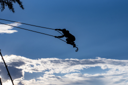 Dashain Festival swing