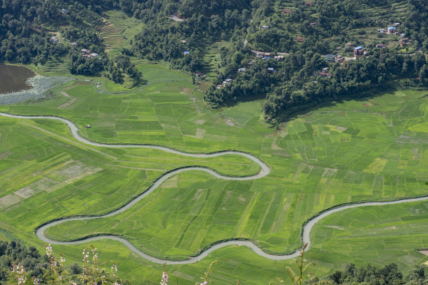paddy field, Pokhara