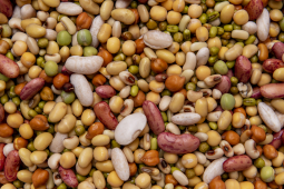 Beans for Kwati food