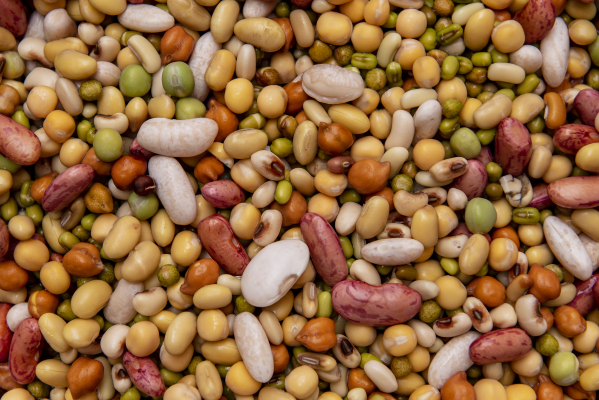 Beans for Kwati food