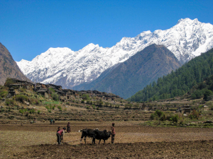 Trekking in Nepal