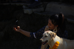 Kukur Tihar Or Dog Festival, Kathmandu, Nepal- 14 Nov 2020