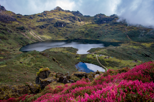 Makalu barun valley