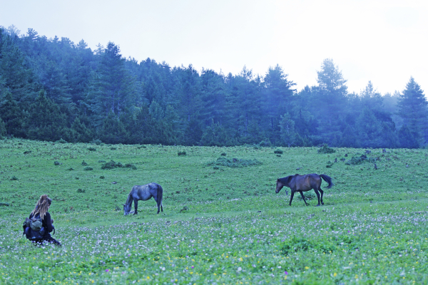 The spell of greenery