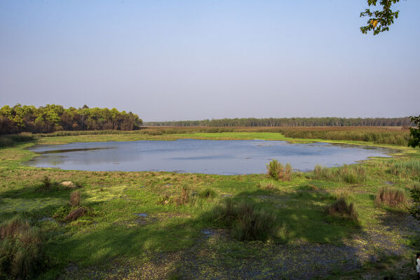 Rani Lake, Shuklaphanta National Park, Kanchanpur
