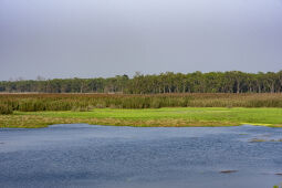 Rani Lake, Shuklaphanta National Park