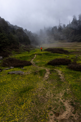 Inside the nature