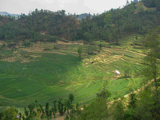 Balthali Village, 2013