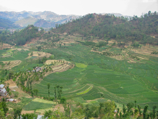 Balthali Village, 2013