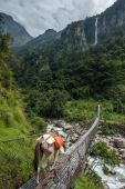 suspension bridge