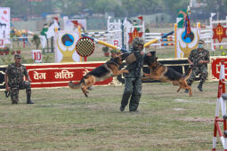 Ghode jatra, Kathmandu