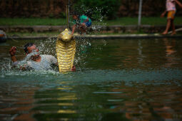 Nag panchami festival, Bhaktapur