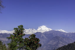 Dhaulagiri View from Above Bashkharka