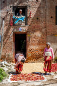 Drying Chillies, Khokhana