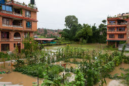 Flood at Bhaktapur, Nepal