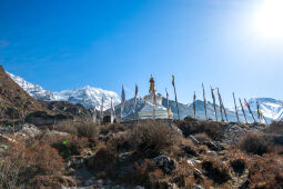 View from Langtang Kyanjing