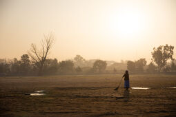 Woman Sweeping