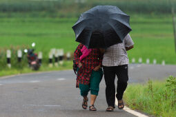 A couple with an umbrella