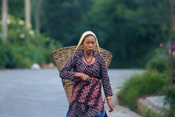A woman heads to a field carrying a basket at the outskirts