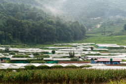 Landscape of Nepal