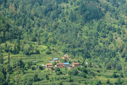 Landscape of Nepal