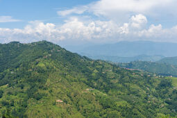 Landscape of Nepal