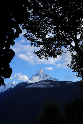 Mt. Machhapuchhre