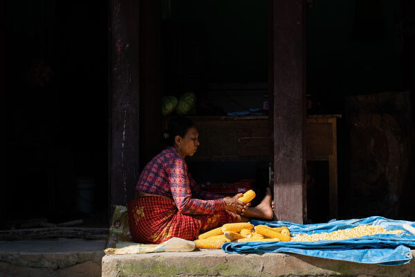 A woman removes corn kernels