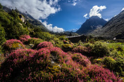 Khangchendzonga National Park