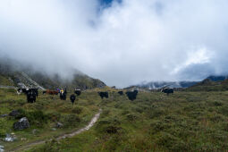 Khangchendzonga National Park