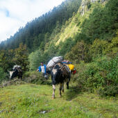 Khangchendzonga National Park