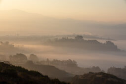 Foggy Morning.