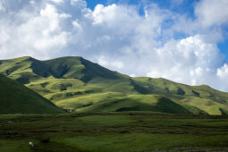 Pasture land of Badhimalika.