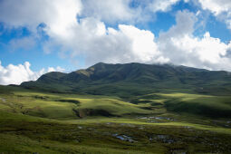 Pasture land of Badhimalika.