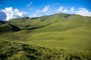 Badimalika, Nepal