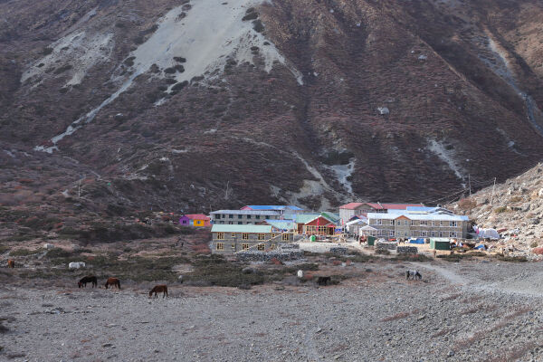 Tilicho Lake Trek