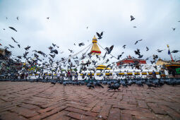 Boudhanath Stupa.