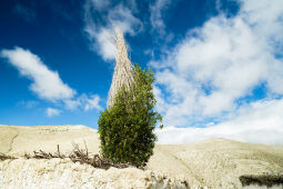 Chhoser Village, Upper Mustang