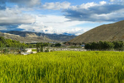 Chhoser Village, Upper Mustang