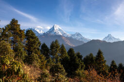 View from poonhill.