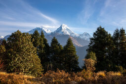 Annapurna South, Poonhill.