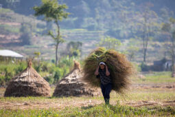 Working in the field.