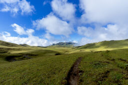 The beauty of Bajura, alpine pasture (Sota Patan) on the way to Badimalika