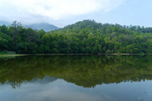 Bedkot Lake,Kanchanpur (वेदकोट ताल कन्चनपुर)