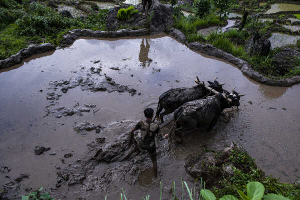 Asar, Ropai, Khandbari, Sankhwasabha, Nepal