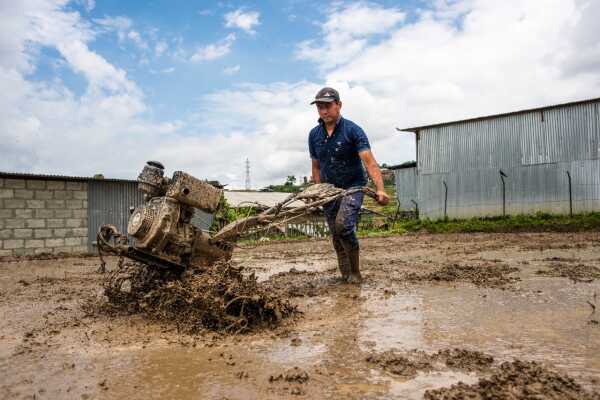 Man pushes tractor in a field.