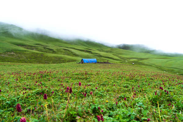 The Sheepfold at Tribeni Patan