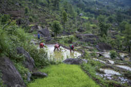 Asar, Ropai, Khandbari